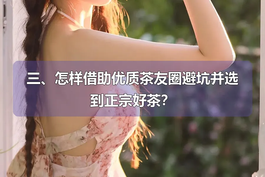 三、怎样借助优质茶友圈避坑并选到正宗好茶？